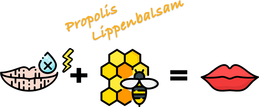 Propolis Lippenbalsam richtig anwenden